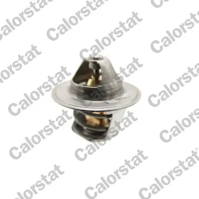 Thermostat, Kühlmittel CALORSTAT by Vernet TH6471.79J