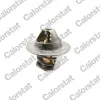 Thermostat, K&uuml;hlmittel CALORSTAT by Vernet TH6471.79J