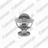 Thermostat, K&uuml;hlmittel CALORSTAT by Vernet TH6578.87J