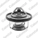 Thermostat, Kühlmittel CALORSTAT by Vernet TH6949.88J