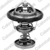 Thermostat, Kühlmittel CALORSTAT by Vernet TH6950.82J Bild Thermostat, Kühlmittel CALORSTAT by Vernet TH6950.82J