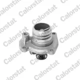 Thermostat, Kühlmittel CALORSTAT by Vernet TH6951.92J