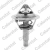 Thermostat, Kühlmittel CALORSTAT by Vernet TH6962.90J Bild Thermostat, Kühlmittel CALORSTAT by Vernet TH6962.90J