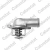 Thermostat, K&uuml;hlmittel CALORSTAT by Vernet TH6966.87J