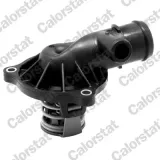 Thermostat, Kühlmittel CALORSTAT by Vernet TH7174.95J