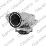 Ausgleichsbehälter, Kühlmittel CALORSTAT by Vernet ET0130C1