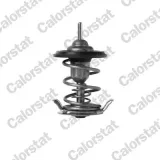 Ausgleichsbehälter, Kühlmittel CALORSTAT by Vernet ET0054C1