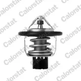 Thermostat, Kühlmittel CALORSTAT by Vernet TH7418.88J