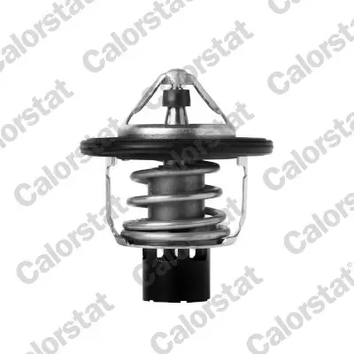Thermostat, Kühlmittel CALORSTAT by Vernet TH7418.88J Bild Thermostat, Kühlmittel CALORSTAT by Vernet TH7418.88J