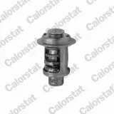 Ausgleichsbehälter, Kühlmittel CALORSTAT by Vernet ET0071C1