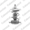 Thermostat, K&uuml;hlmittel CALORSTAT by Vernet TH9780.85