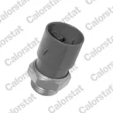 Thermostat, Kühlung-Abgasrückführung CALORSTAT by Vernet TH6957.70J