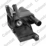 Kühlmittelflansch CALORSTAT by Vernet WF0186