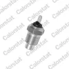 Sensor, K&uuml;hlmitteltemperatur CALORSTAT by Vernet WS2509