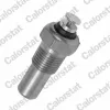 Sensor, K&uuml;hlmitteltemperatur CALORSTAT by Vernet WS2519