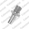 Sensor, K&uuml;hlmitteltemperatur CALORSTAT by Vernet WS2539