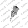 Sensor, K&uuml;hlmitteltemperatur CALORSTAT by Vernet WS2590