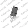 Sensor, K&uuml;hlmitteltemperatur CALORSTAT by Vernet WS2604
