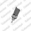 Sensor, K&uuml;hlmitteltemperatur CALORSTAT by Vernet WS2606