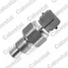 Sensor, K&uuml;hlmitteltemperatur CALORSTAT by Vernet WS2628