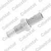 Sensor, K&uuml;hlmitteltemperatur CALORSTAT by Vernet WS3004