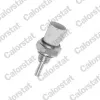 Sensor, K&uuml;hlmitteltemperatur CALORSTAT by Vernet WS3010