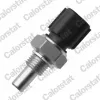 Sensor, K&uuml;hlmitteltemperatur CALORSTAT by Vernet WS3065