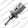 Sensor, K&uuml;hlmitteltemperatur CALORSTAT by Vernet WS3079