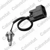 Sensor, K&uuml;hlmitteltemperatur CALORSTAT by Vernet WS3109
