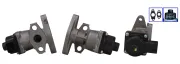 AGR-Ventil ELSTOCK 73-0465