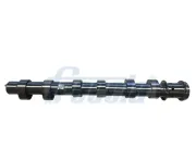 Nockenwelle Einlassseite FRECCIA CM05-2445
