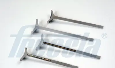 Auslassventil FRECCIA R8006/BMARNANT Bild Auslassventil FRECCIA R8006/BMARNANT