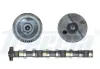 Nockenwelle Auslassseite FRECCIA CM05-2188