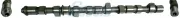 Nockenwelle Auslassseite FRECCIA CM05-2319