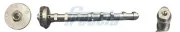 Nockenwelle Einlassseite FRECCIA CM05-2347