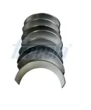 Pleuellagersatz FRECCIA CR19-100100