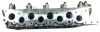 Zylinderkopf FRECCIA CH17-1042 Bild Zylinderkopf FRECCIA CH17-1042