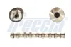 Nockenwelle Auslassseite FRECCIA CM05-2137