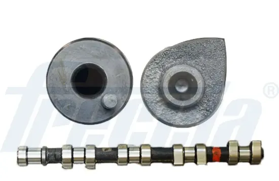 Nockenwelle Einlassseite FRECCIA CM05-2173 Bild Nockenwelle Einlassseite FRECCIA CM05-2173