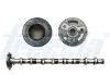 Nockenwelle Auslassseite FRECCIA CM05-2187