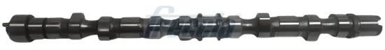 Nockenwelle Einlassseite Auslassseite FRECCIA CM05-2206 Bild Nockenwelle Einlassseite Auslassseite FRECCIA CM05-2206