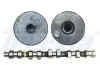 Nockenwelle Auslassseite FRECCIA CM05-2243