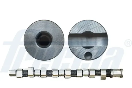 Nockenwelle FRECCIA CM05-2255 Bild Nockenwelle FRECCIA CM05-2255