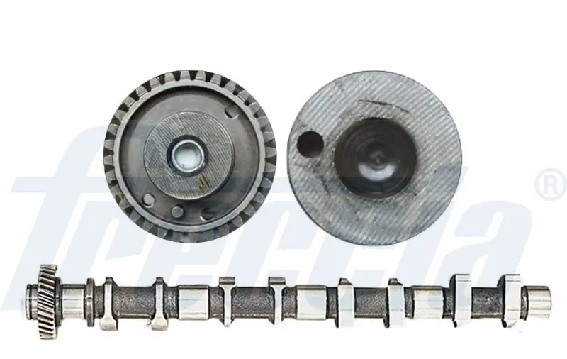 Nockenwelle Auslassseite FRECCIA CM05-2260