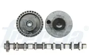 Nockenwelle Auslassseite FRECCIA CM05-2260