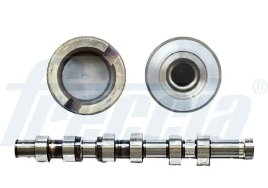 Nockenwelle Auslassseite FRECCIA CM05-2262 Bild Nockenwelle Auslassseite FRECCIA CM05-2262