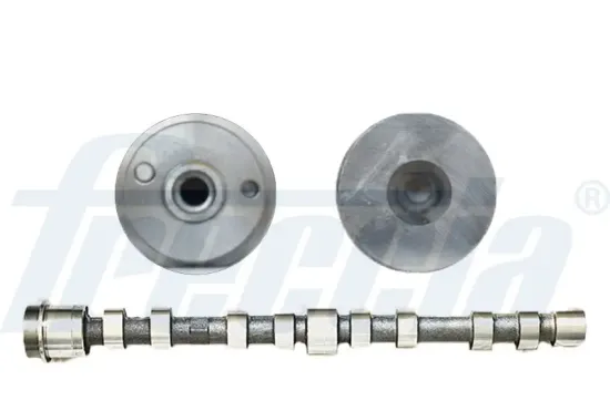 Nockenwelle Auslassseite FRECCIA CM05-2273 Bild Nockenwelle Auslassseite FRECCIA CM05-2273