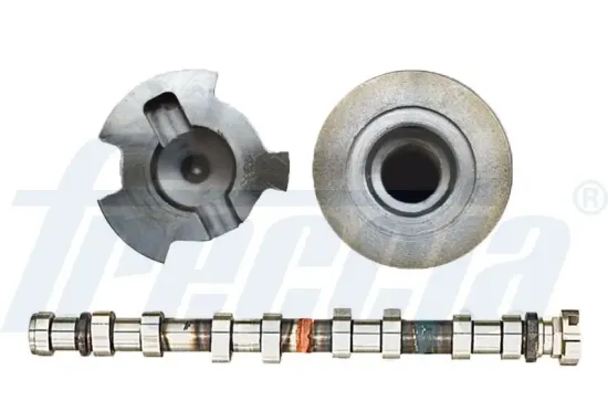 Nockenwelle Auslassseite FRECCIA CM05-2353 Bild Nockenwelle Auslassseite FRECCIA CM05-2353
