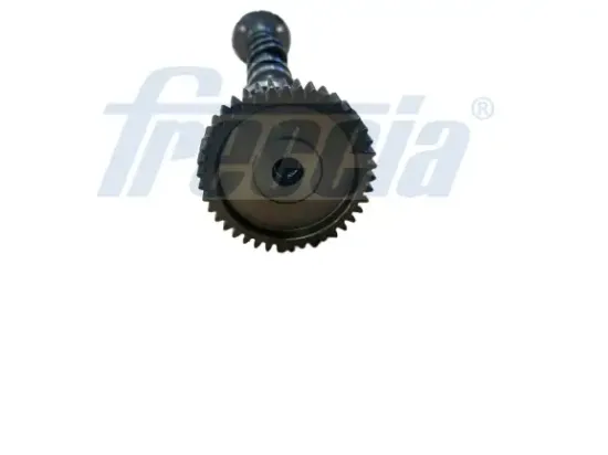 Nockenwelle Auslassseite FRECCIA CM05-2378 Bild Nockenwelle Auslassseite FRECCIA CM05-2378