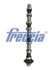 Nockenwelle Auslassseite FRECCIA CM05-2418